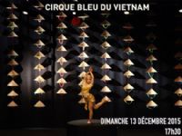 Cirque Bleu du Vietnam. Le dimanche 13 décembre 2015 au Thor. Vaucluse.  17H30